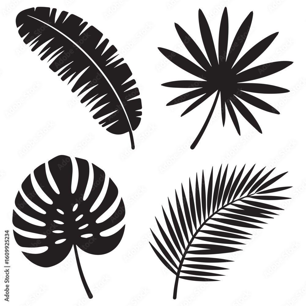 Obraz premium A collection of tropical leaves showcases the beauty of nature and exotic botanical designs