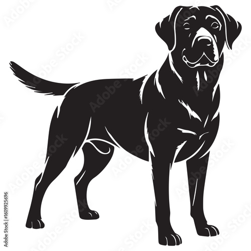 A sleek black labrador retriever stands proudly, its silhouette a perfect representation of the beloved canine breed isolated on white background