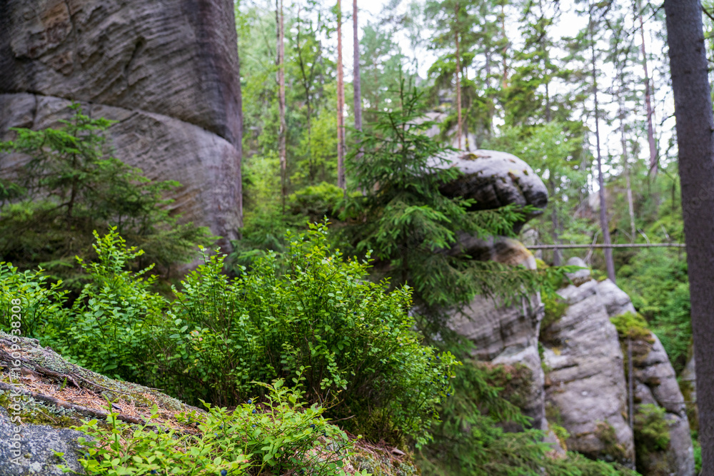 Fototapeta premium Adrspach, Czech Republic - 20.07.2025: View of the Adrspach-Teplice Rocks with Lake Piskovna. Forest and rocks.