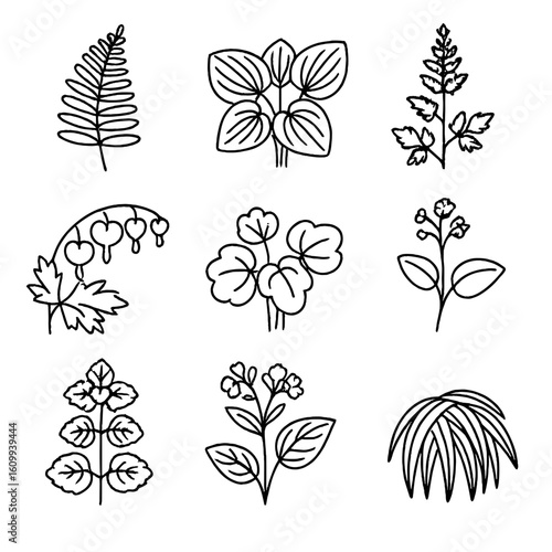 Shade Plants Icons. Line style icons of shade-loving plants: fern, hosta, astilbe, bleeding heart, heuchera, brunnera, lamium,