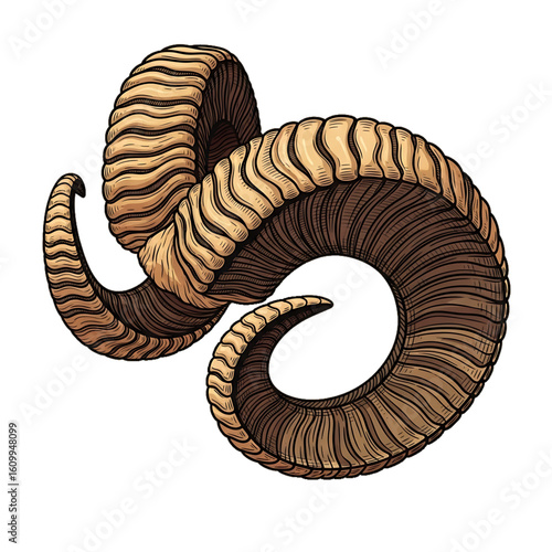 Twisted ram horns symbolizing strength and nature.
