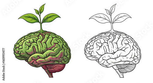 Illustration showing a brain with a plant growing out of it, next to a line drawing brain