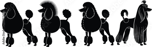 Vector Silhouette Set of Poodles with Distinct Grooming Styles — Black Line Art Dog Profiles, Pet Breed Identification Concept