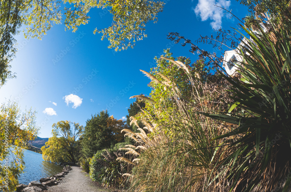 Walking path road lake hayes new zealand beautiful nature day sunny Walking path road lake hayes new zealand beautiful nature day sunny