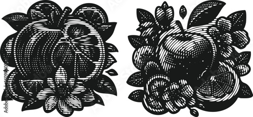  Monochrome lined engraving bundle apple orange fruits flower vintage photocopy effect art