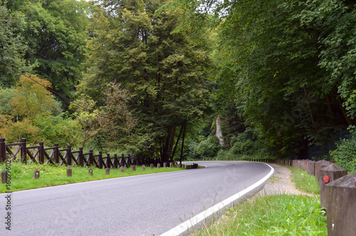 A peaceful path leading to the historic Ojców Castle, surrounded by trees and natural greenery in Ojców National Park, Poland.