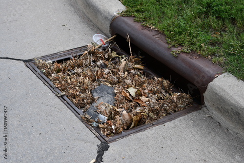 Billede på lærred Clogged storm drain. Trash and leaves block drain.