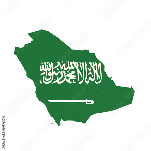 Outline of the country Saudi Arabia with a flag on a white background vector
Vector outline of the country with a flag on a white background