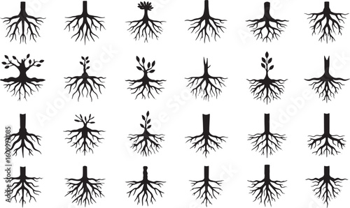 set of roots icon