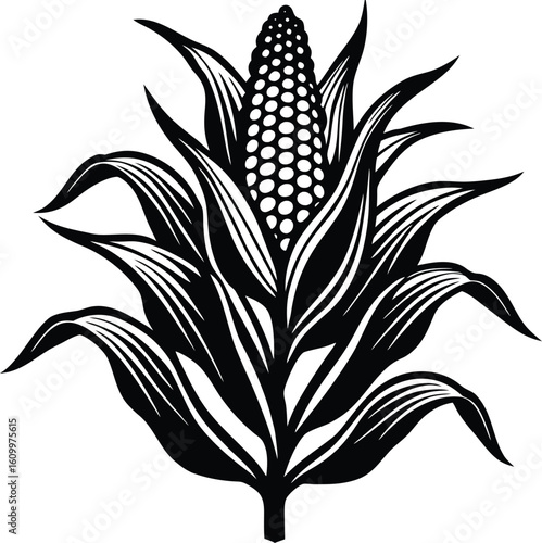 Black and white corn plant vector illustration with floral leaf pattern design