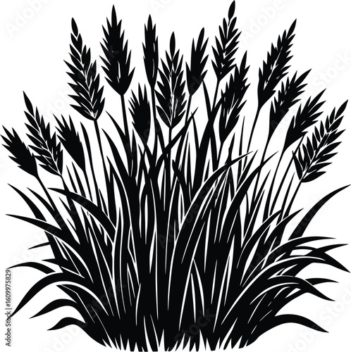 Plant vector design featuring isolated grass silhouettes on a white background, perfect for natural and floral patterns