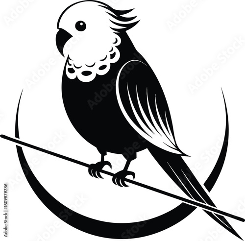 Black and white budgerigar perched on a thin rod with curved shapes bird