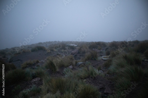 top of the mountain with fog