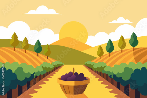 Harvest basket of grapes in a vineyard at sunset