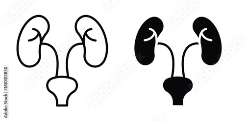 Urology icon outline vector Thin line. flat vector simple elements.
