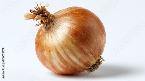 Wallpaper Mural Onion bulb, isolated on transparent background  Torontodigital.ca