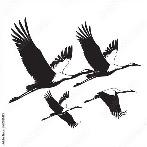 Flock of flying cranes in a black and white vector illustration, stylized silhouette graphic.
