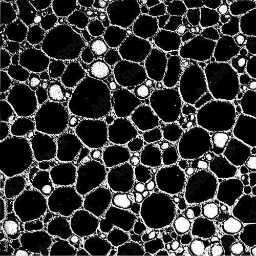 A detailed view of a cellular structure with black background and white cell outlines and white cell insides