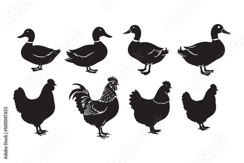 Duck Chicken Silhouette Illustration Bird Animal Vector Collection