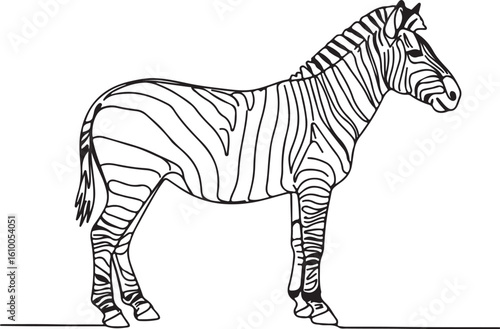 Minimal continuous line sketch of a zebra standing sideways, with distinctive striped contour