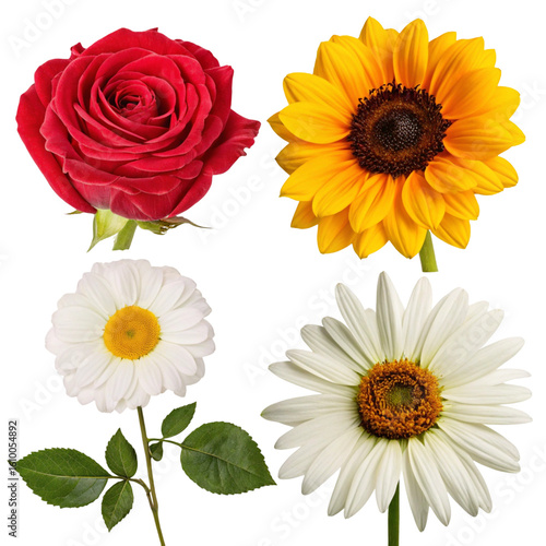 Vibrant Blooms A Collection of Red Rose, Sunflower, and Daisies