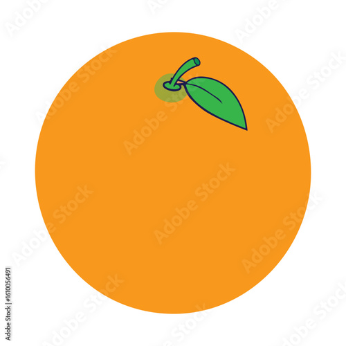 Bright Orange Fruit Vector Illustration for Summer Designs