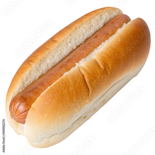 A single grilled hot dog in a fresh bun with no condiments is isolated on a clean white background