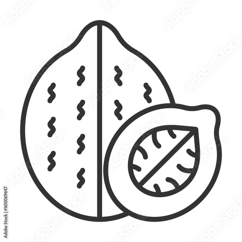 Walnut Icon Outline Style. Vector Illustration Design