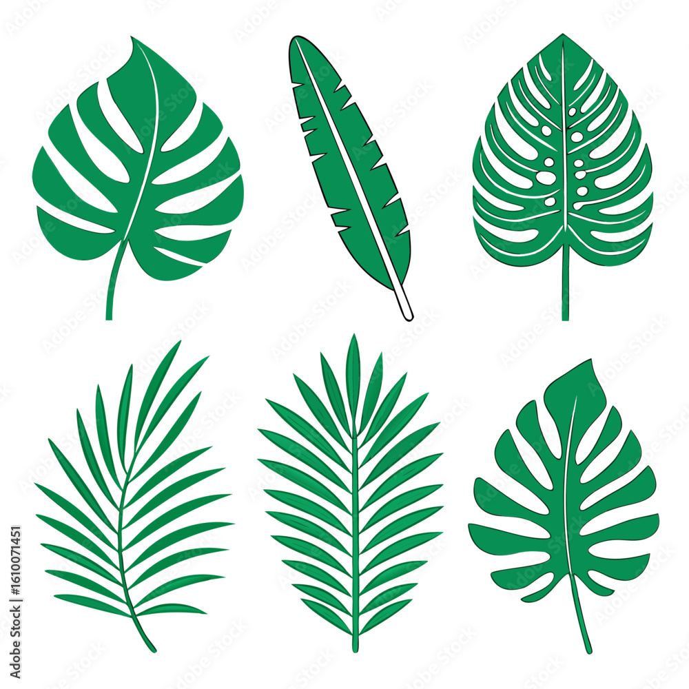 Fototapeta premium Tropical Leaves Collection monstera banana leaf