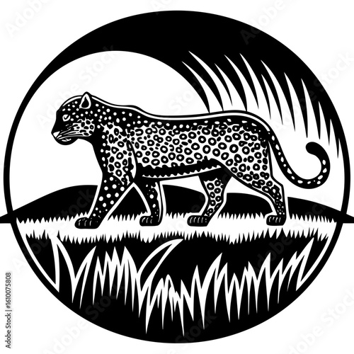 Leopard Silhouette Walking Through Dry Grass with Intense Backlight