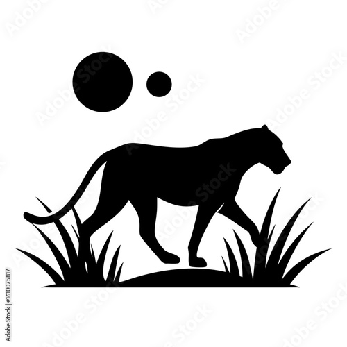 Leopard Silhouette Walking Through Dry Grass with Intense Backlight