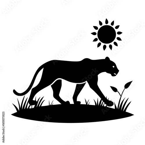 Leopard Silhouette Walking Through Dry Grass with Intense Backlight