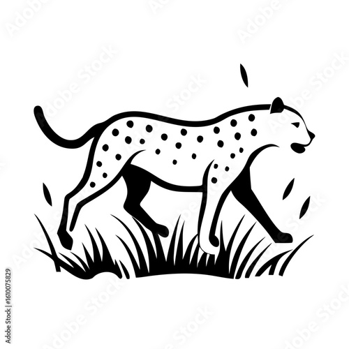 Leopard Silhouette Walking Through Dry Grass with Intense Backlight
