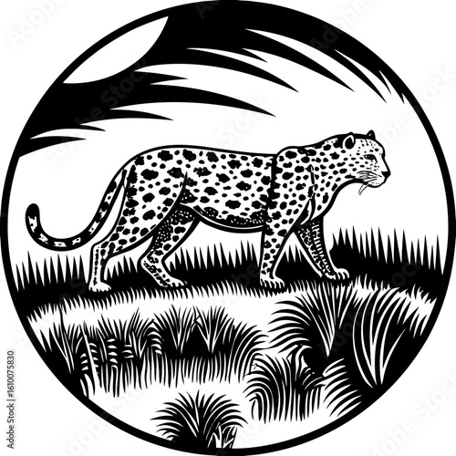 Leopard Silhouette Walking Through Dry Grass with Intense Backlight