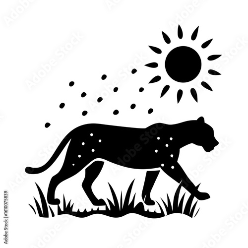 Leopard Silhouette Walking Through Dry Grass with Intense Backlight