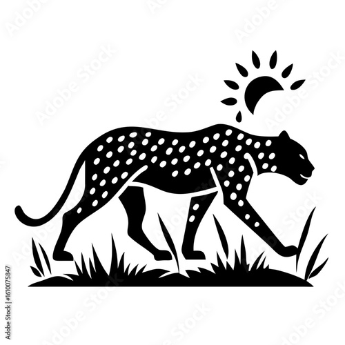 Leopard Silhouette Walking Through Dry Grass with Intense Backlight