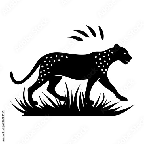 Leopard Silhouette Walking Through Dry Grass with Intense Backlight