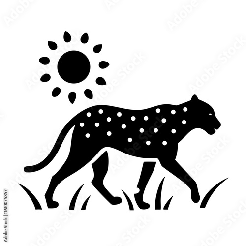 Leopard Silhouette Walking Through Dry Grass with Intense Backlight