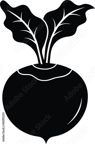 kohlrabi on white background.eps