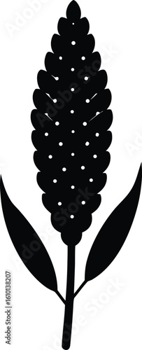 millet on white background.eps