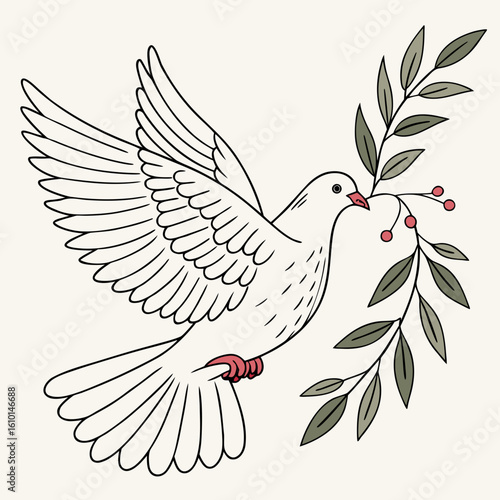 White dove carrying olive branch with red berries bird leaves