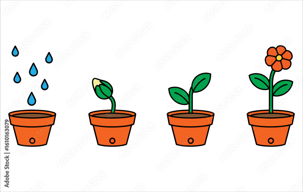 Obraz premium Potted flower growth cycle stages. Vector flat cartoon design illustrating flowering plant care, indoor gardening and watering in modern style for infographics