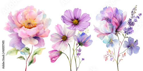 Wallpaper Mural Pastel watercolor floral bouquet illustration featuring delicate blossoms and botanical elements, isolated on a transparent background. Ideal for branding, packaging, and decorative designs. Torontodigital.ca