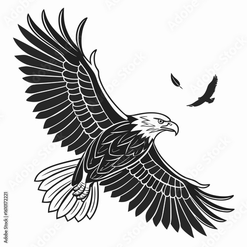Majestic eagle soaring with wings spread wide bird