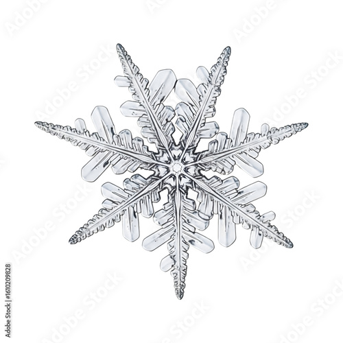 silver snowflake isolated on white background on transparent background