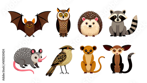 Illustration of diverse animal species including bat owl hedgehog raccoon opossum bird lemur and tarsier