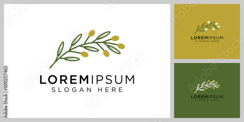 vector design of olives and leaves