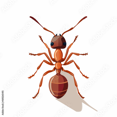 Detailed Vector Illustration of an Ant on White Background Displaying its Anatomy and Shadow
