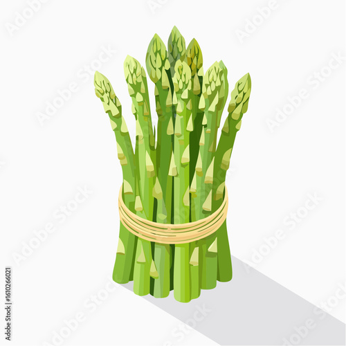 Bundle of Fresh Asparagus Spears: A Healthy and Nutritious Green Vegetable