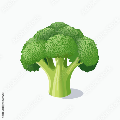 Vibrant Broccoli Illustration with Detailed Florets and Stalk on a White Background